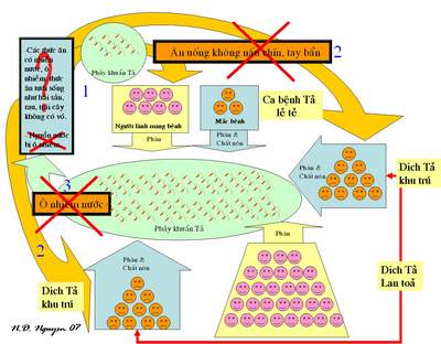 Bệnh tả (Cholera)