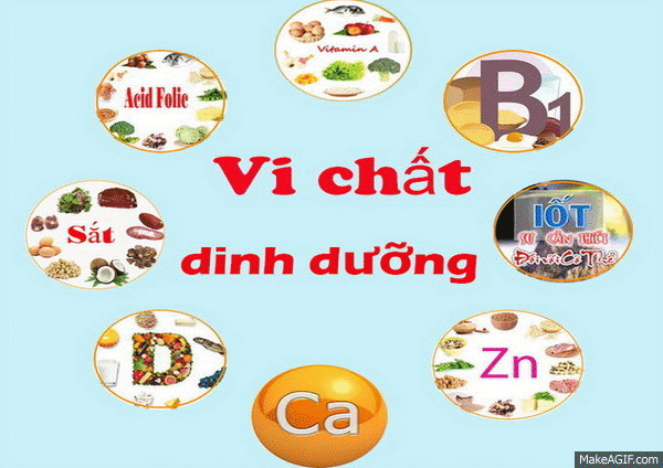 Đánh giá tình trạng dinh dưỡng và theo dõi tăng trưởng